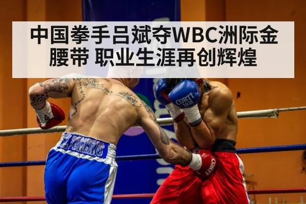 中国拳手吕斌夺WBC洲际金腰带 职业生涯再创辉煌