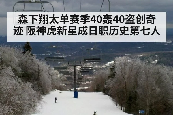 森下翔太单赛季40轰40盗创奇迹 阪神虎新星成日职历史第七人