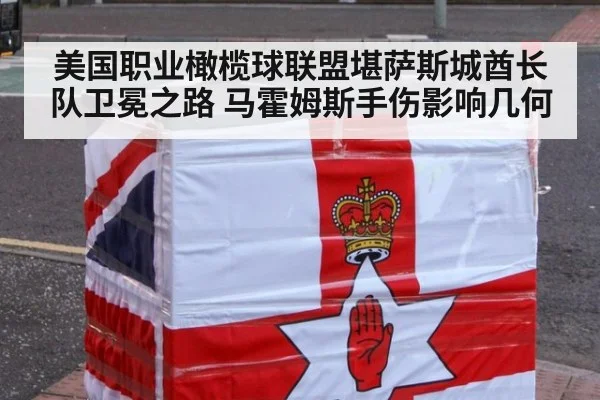 美国职业橄榄球联盟堪萨斯城酋长队卫冕之路 马霍姆斯手伤影响几何